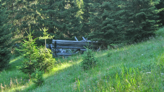Bichlwaldhütte